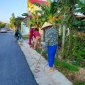 Tân Khang: Phụ nữ ra quân dọn vệ sinh, trồng hoa ven đường  